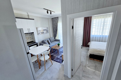 Ein-Zimmer-Wohnungen (1+1) - Crown Residence