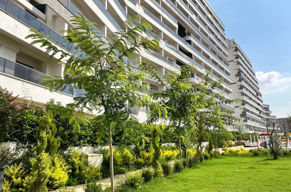 Yolcu gemisi tarzında hazır kompleks!